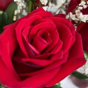 Meet your Posher, Beverly